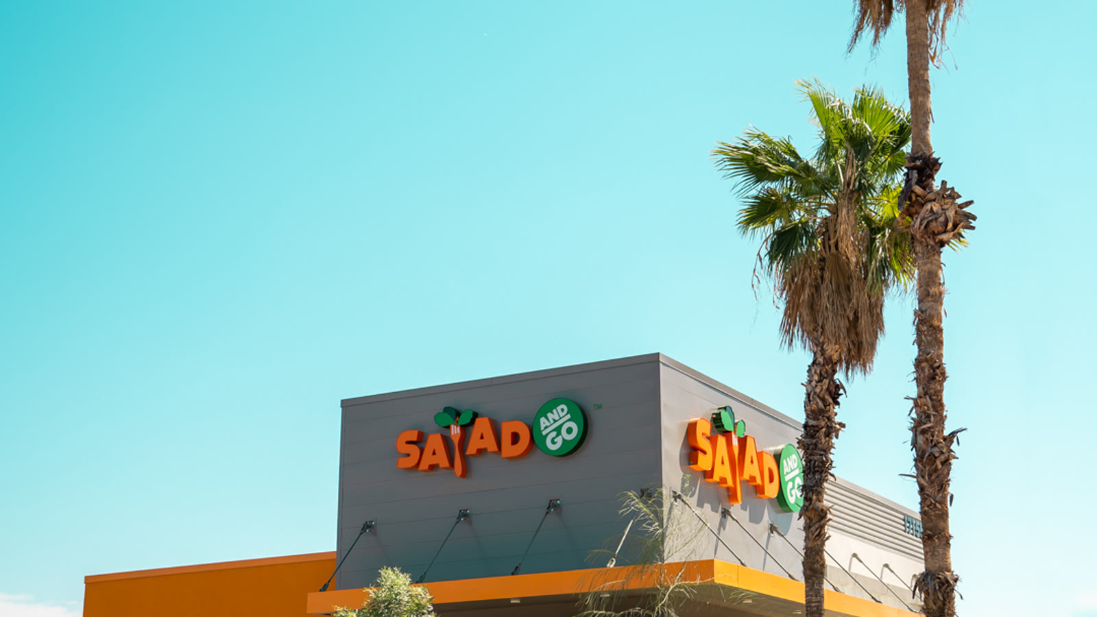 When an Absolute-NNN Tenant Goes Bankrupt: The Salad and Go Landlord Test